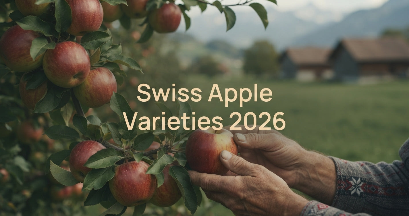 2026 Swiss Apple Variety & Nutritional Comparison Chart: Best Varieties, Health Benefits, and Snack Picks