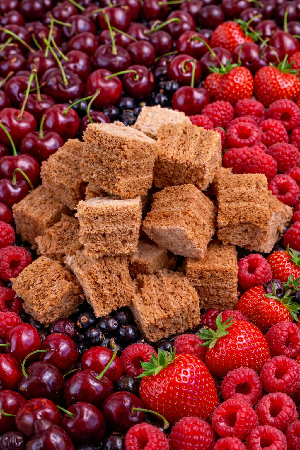 Fruit Snack Nutrition Comparison 2026: Best Picks for Every Health Goal