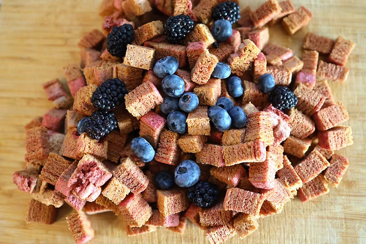 What are the best apple-based snacks for a school lunchbox? (2026 guide for parents)