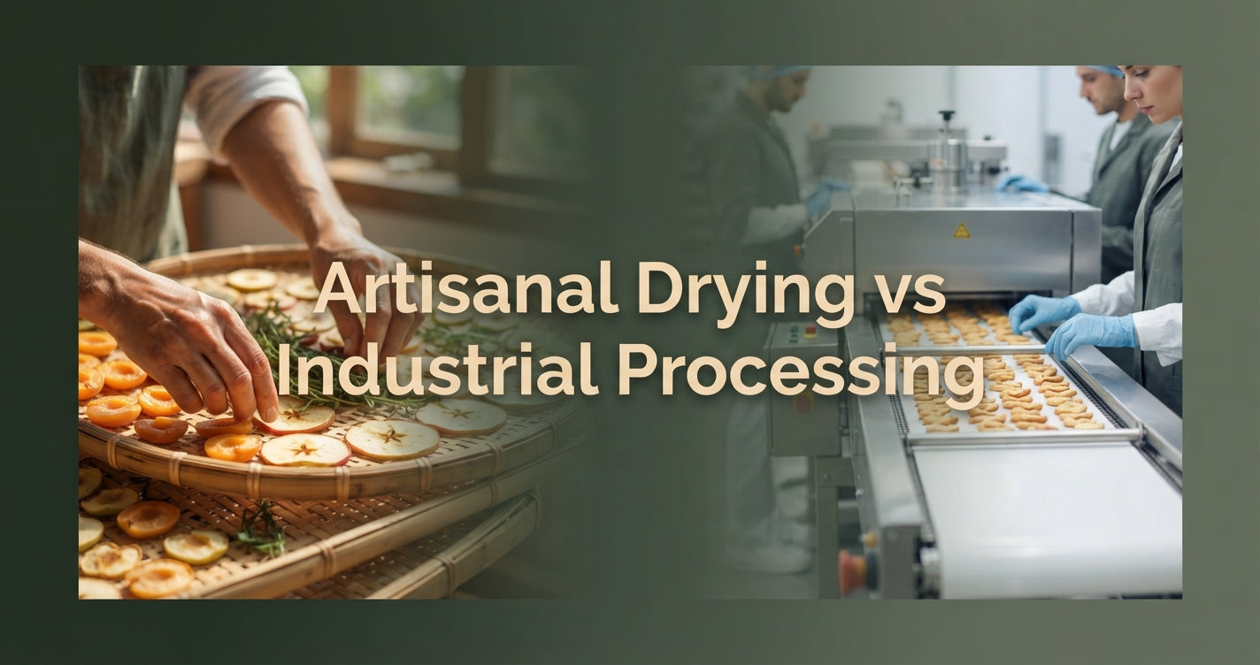 Snack Tech 2026: Artisanal Drying vs. Industrial Processing – Best Choices for Modern Snacking