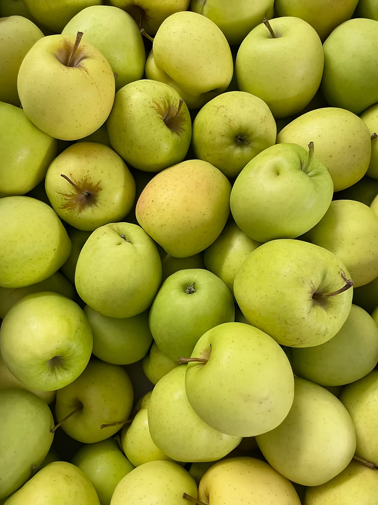 Apple Snack Nutrition Facts: The Complete Guide to What's Actually in Your Snack (2026)